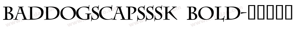 BadDogSCapsSSK Bold字体转换